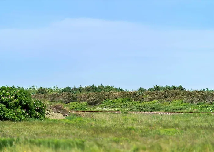 Dom wakacyjny 170-harboore-neerlandiavej-3 *